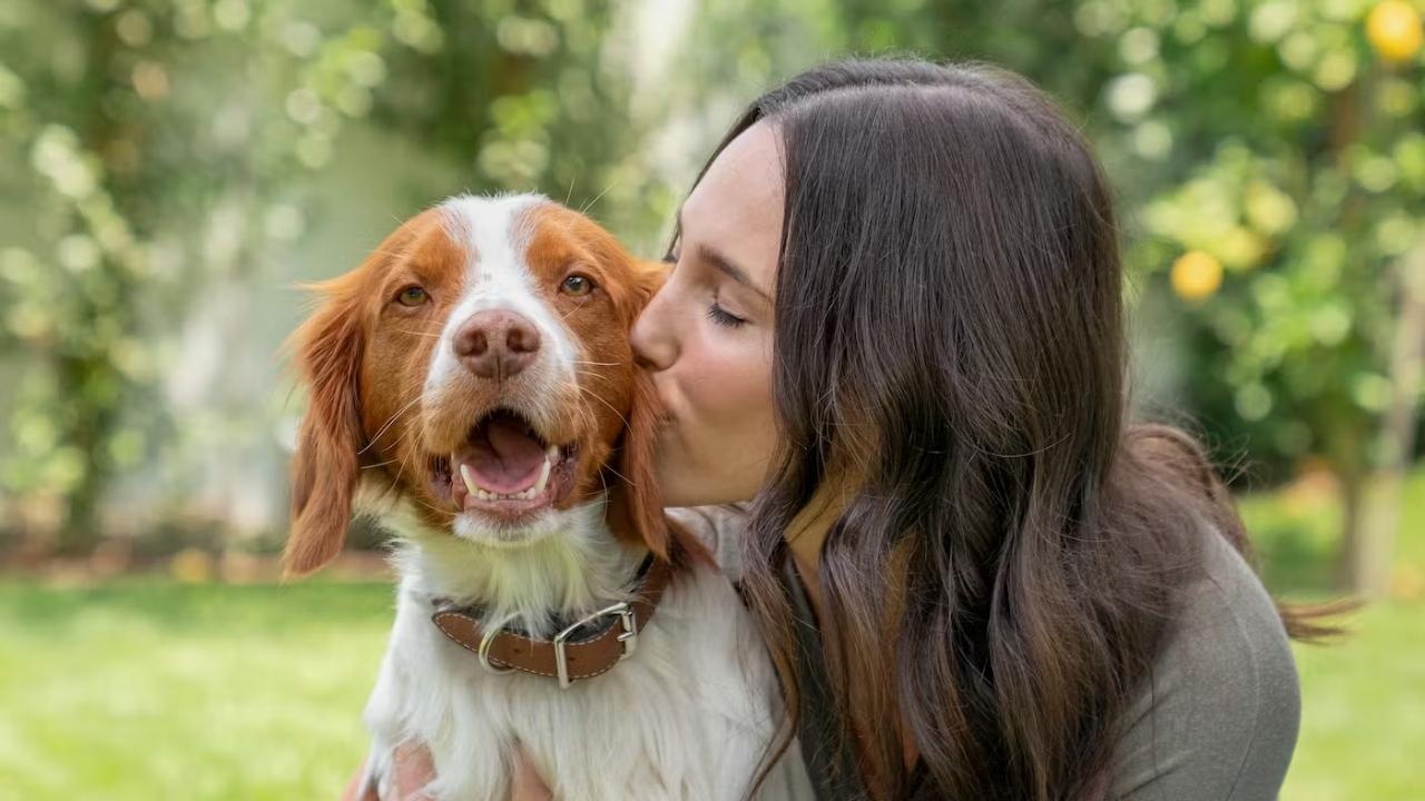 10 Gentle Techniques to Relax Your Dog Naturally